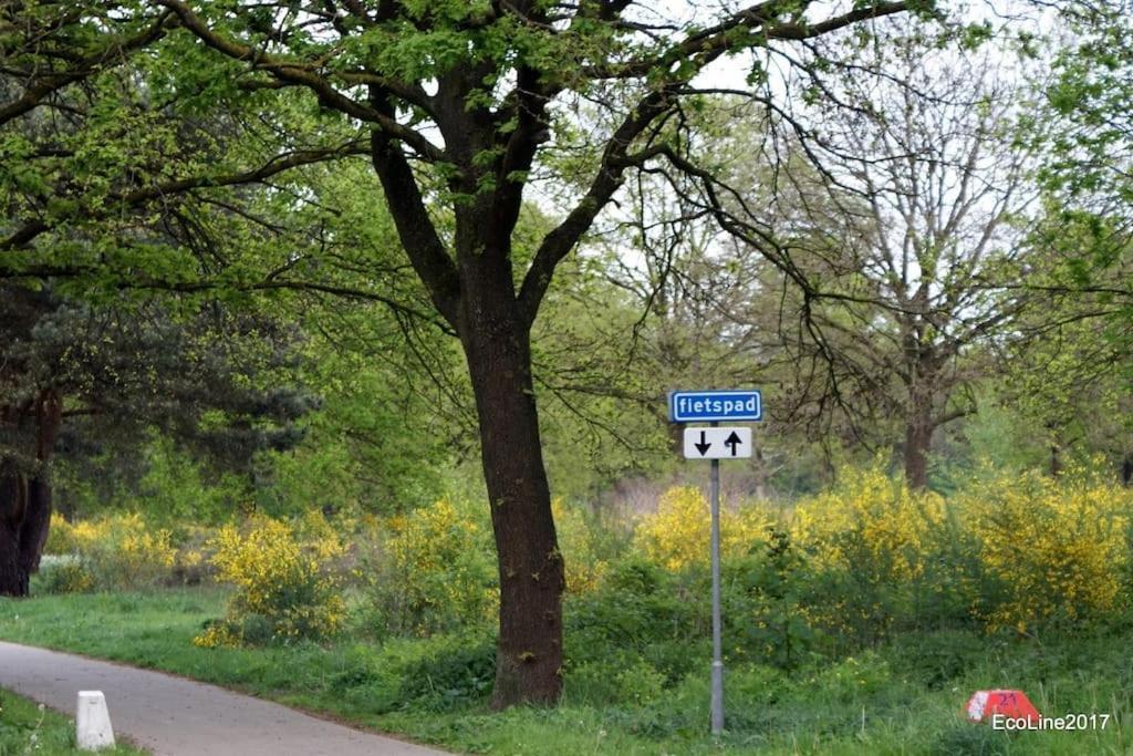 Вілла Huinerhofje 2 - Vrijstaand Met Grote Omheinde Tuin, Rust, Privacy En Nabij Bossen Пюттен Екстер'єр фото