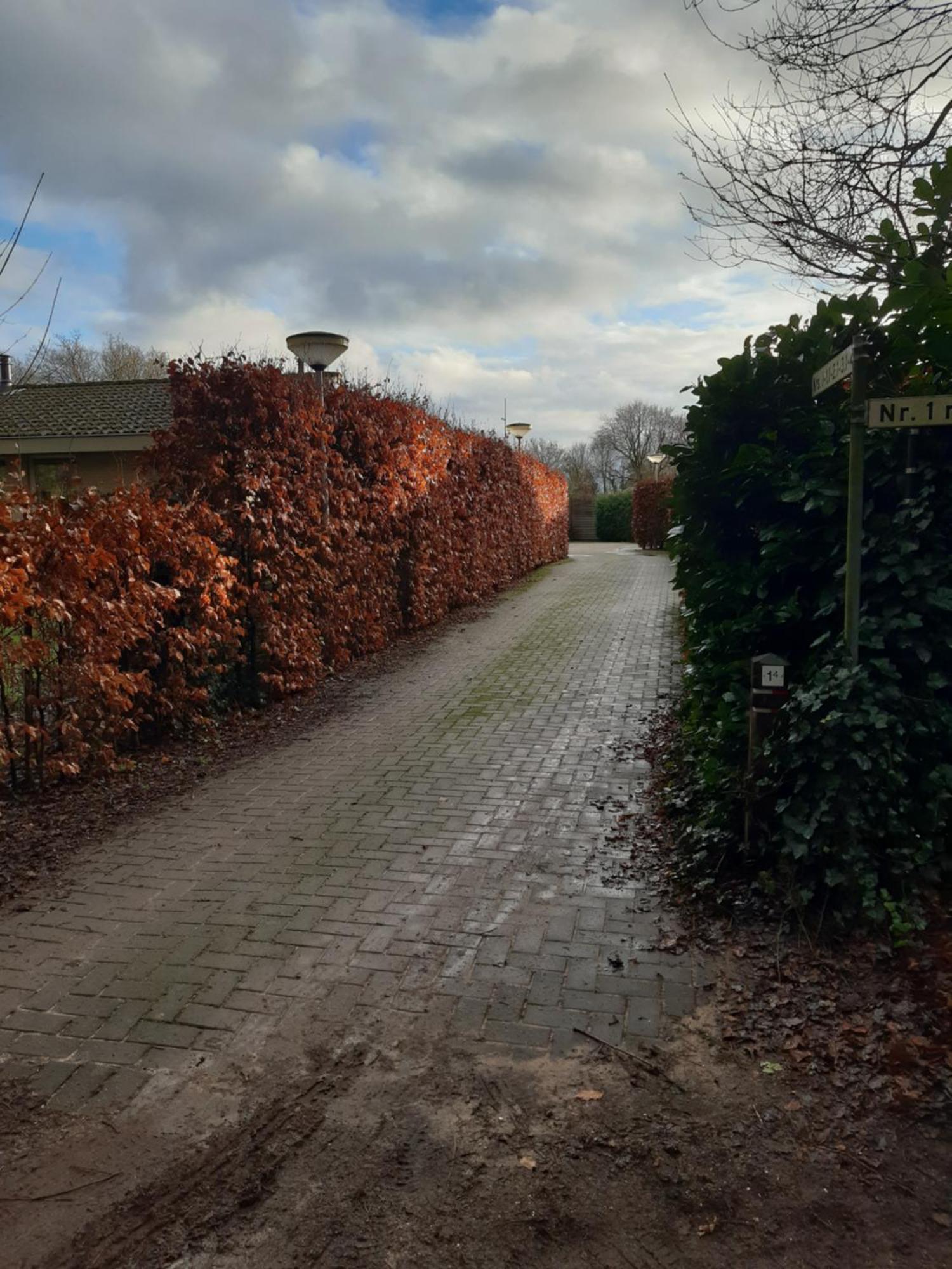 Вілла Huinerhofje 2 - Vrijstaand Met Grote Omheinde Tuin, Rust, Privacy En Nabij Bossen Пюттен Екстер'єр фото